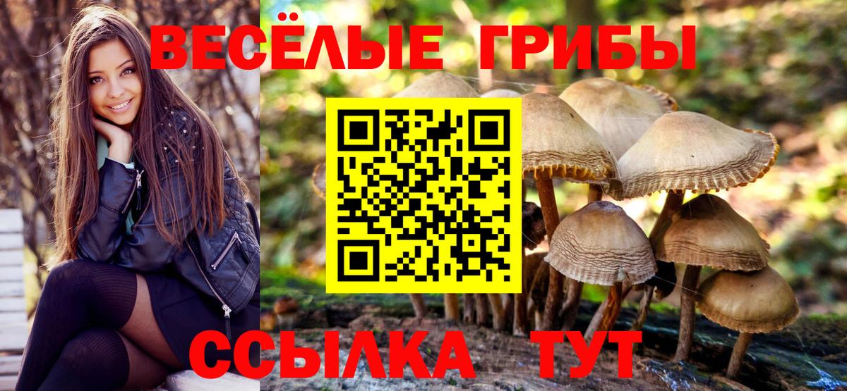 Псилоцибиновые грибы мухоморы  Псилоцибиновые грибы Magic Shrooms  Вход с VPN  Нижнеудинск 