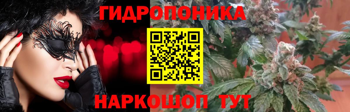 Нижнеудинск  Конопля сатива  Вход с VPN  Бошки марихуана индика  Шишки марихуана THC 21% 